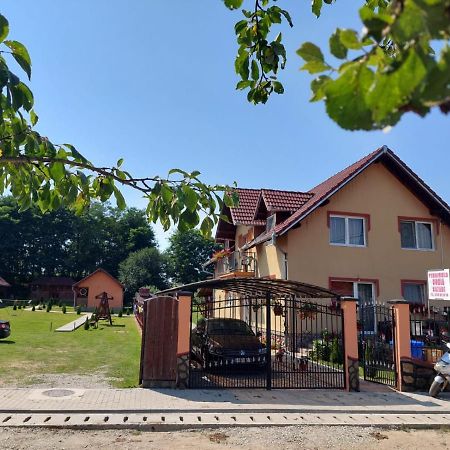 Pensiunea Sonia Cîrţişoara Exterior foto