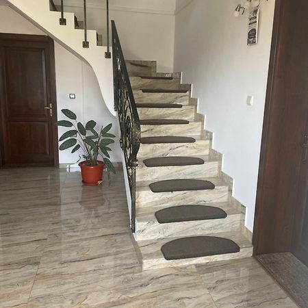 Pensiunea Sonia Cîrţişoara Exterior foto