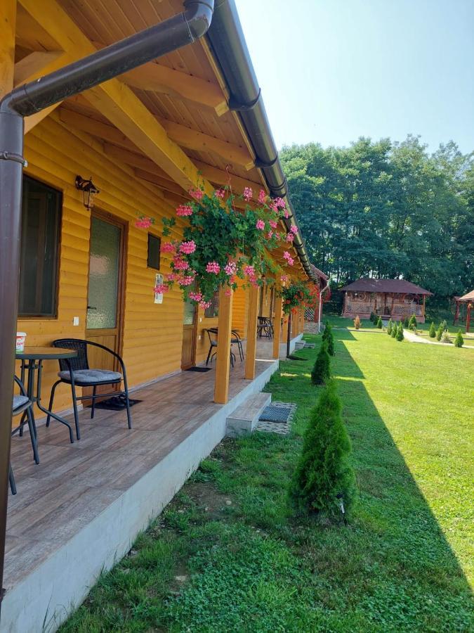 Pensiunea Sonia Cîrţişoara Exterior foto