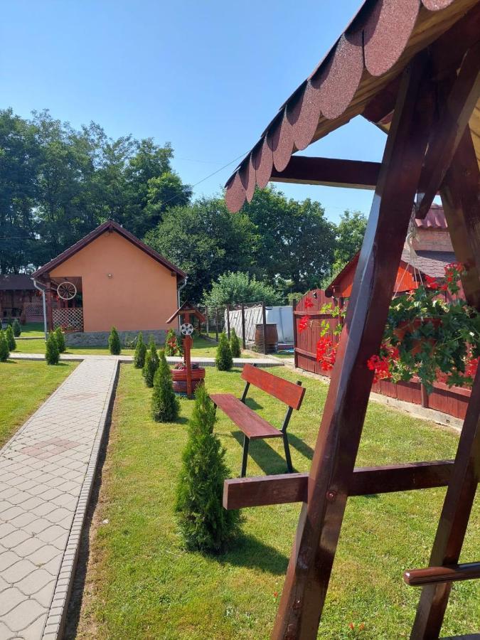 Pensiunea Sonia Cîrţişoara Exterior foto
