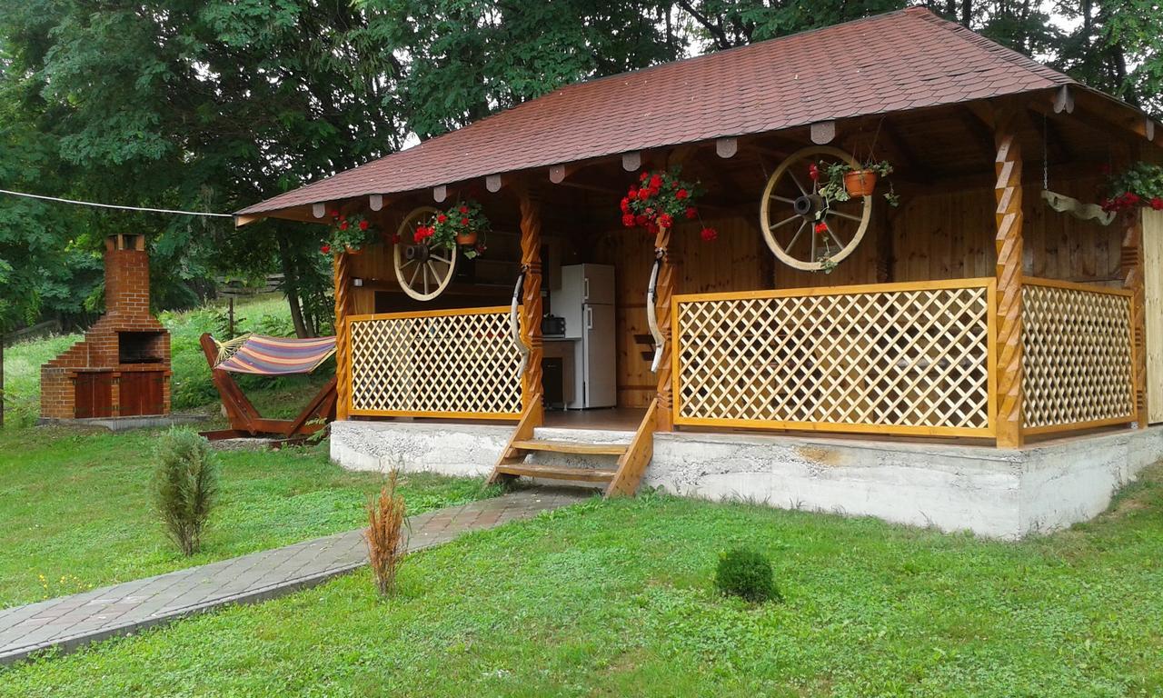 Pensiunea Sonia Cîrţişoara Exterior foto