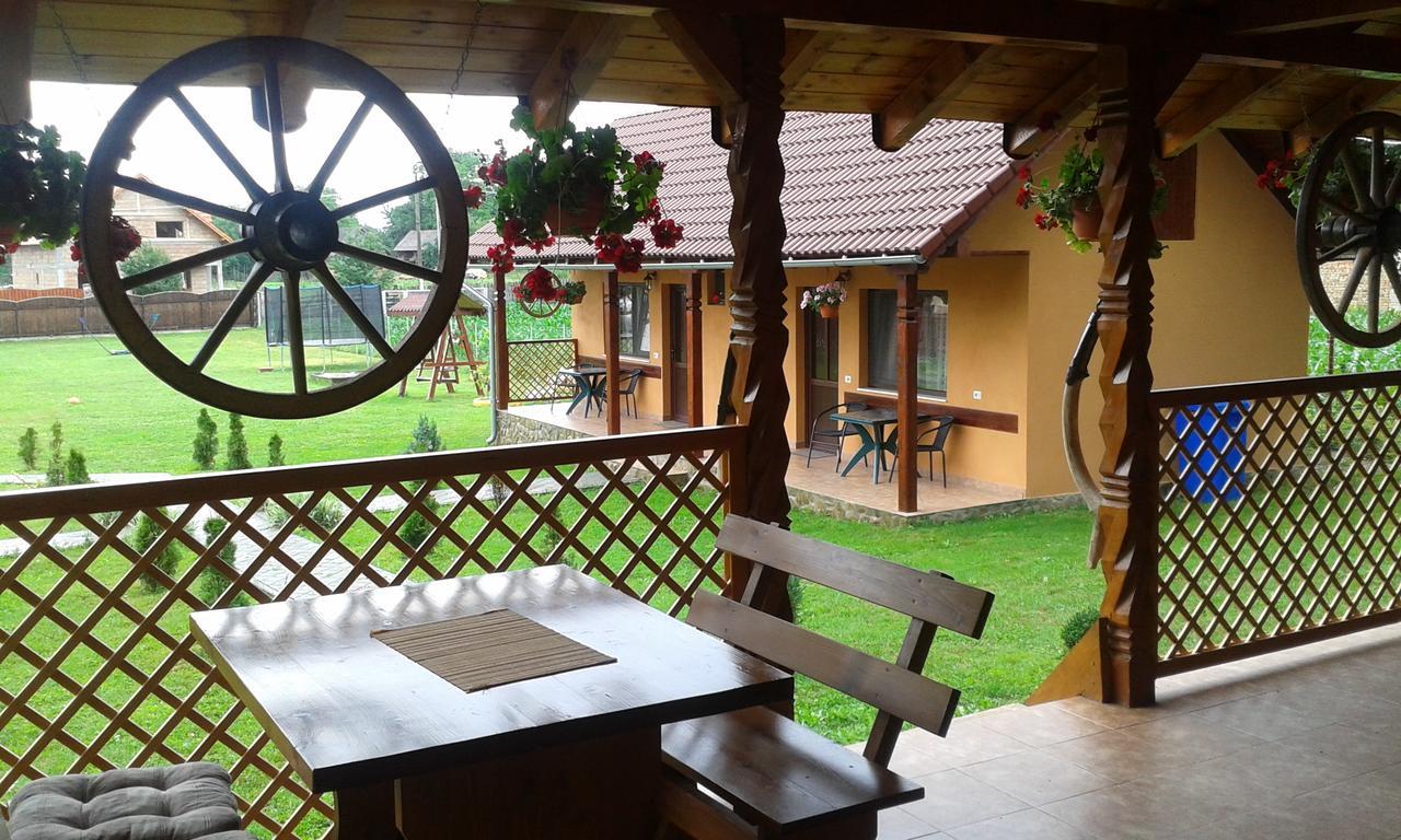 Pensiunea Sonia Cîrţişoara Exterior foto