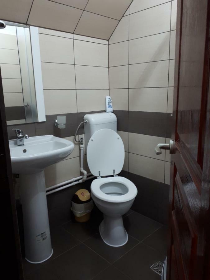 Pensiunea Sonia Cîrţişoara Exterior foto