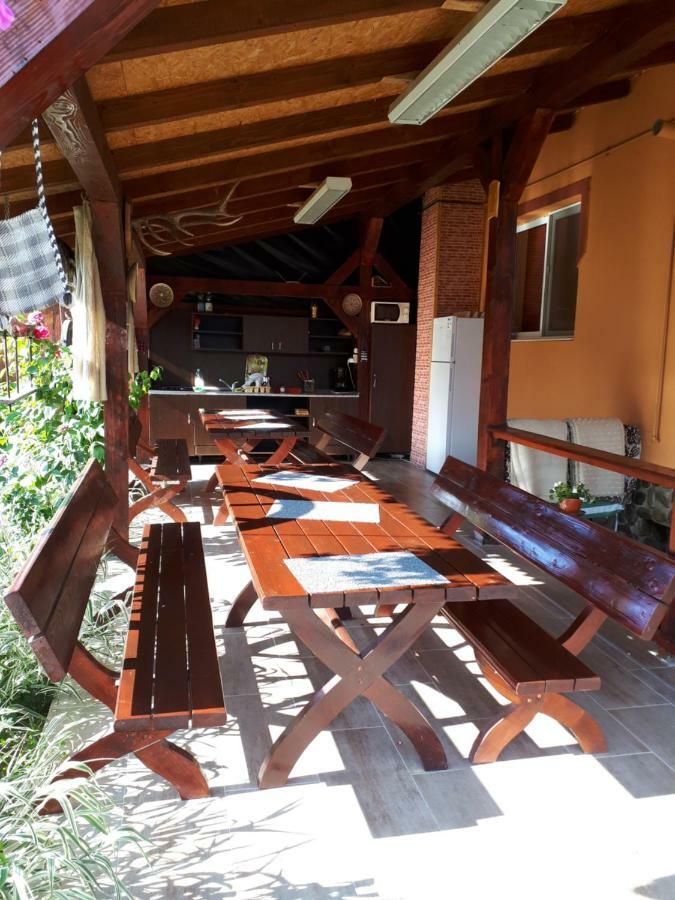 Pensiunea Sonia Cîrţişoara Exterior foto